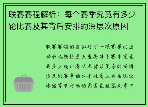 联赛赛程解析：每个赛季究竟有多少轮比赛及其背后安排的深层次原因